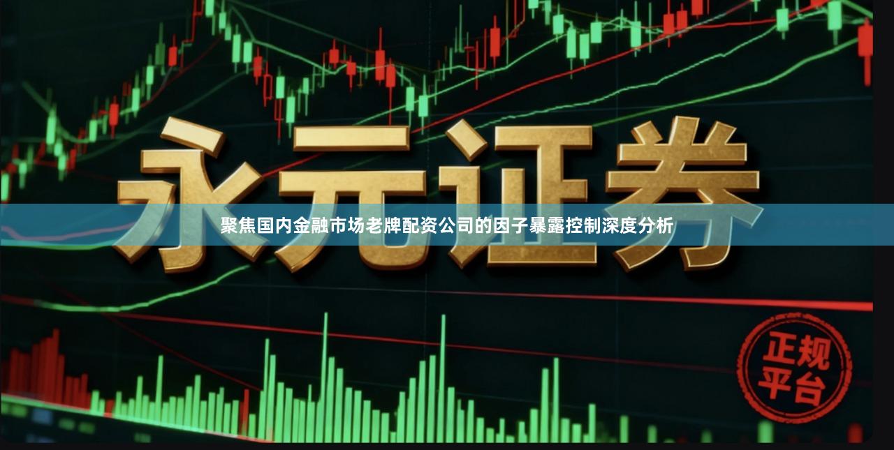 聚焦国内金融市场老牌配资公司的因子暴露控制深度分析